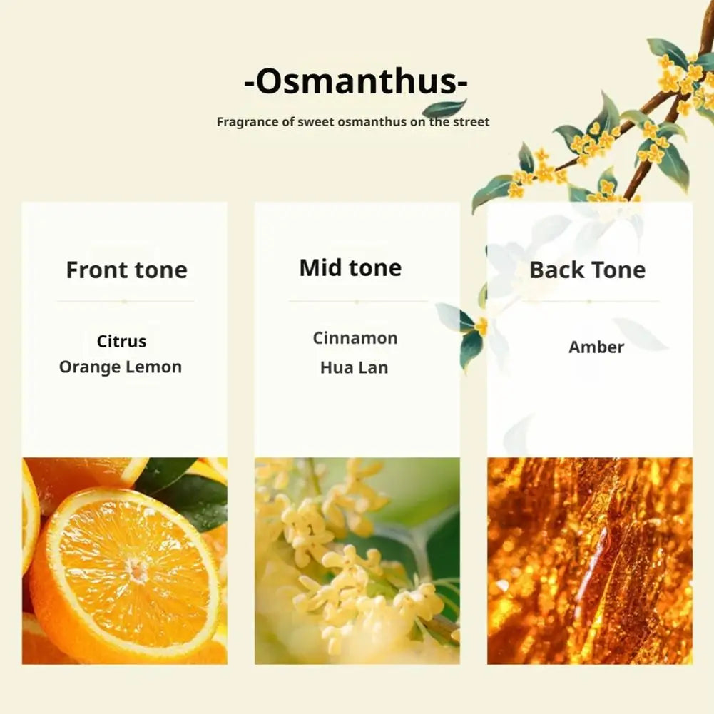 Natural Perfume Floral Scent / Long-lasting