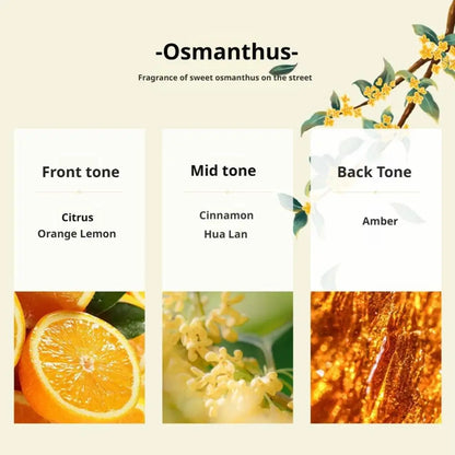 Natural Perfume Floral Scent / Long-lasting